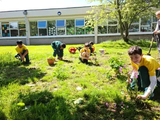 boys planting